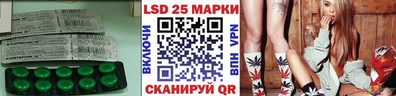 купить закладку Суворов Лсд 25 экстази ecstasy